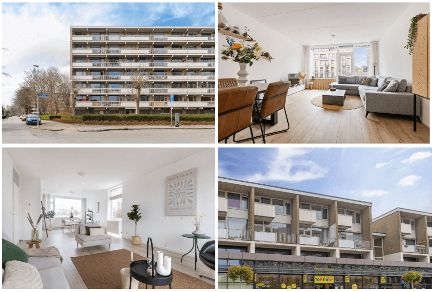 Succesvol verkocht Paddepoel