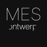 mes partner iq groningen