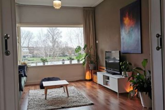 iQ Makelaars Groningen, Hamburgerstraat