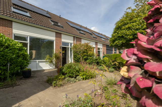 iQ Makelaars Vries, Dingspil